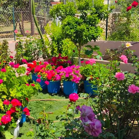 Διαμέρισμα Artemis Superb 2 Bedroom 700 M Away From The *