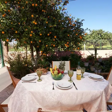 Appartement Artemis Superb 2 Bedroom 700 M Away From The Minia